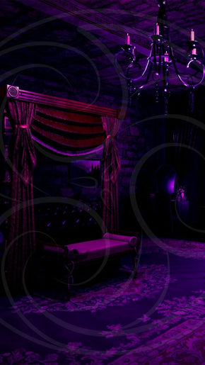 Dracula's Bride Chamber Background