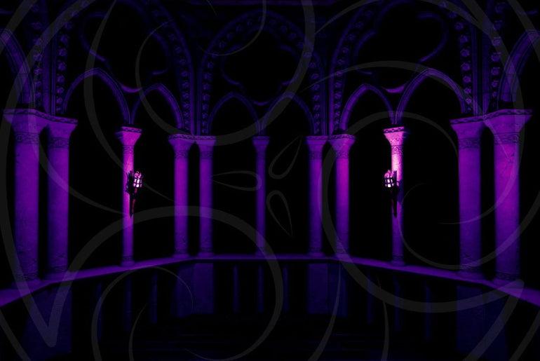 Dracula's Bride Chamber Background